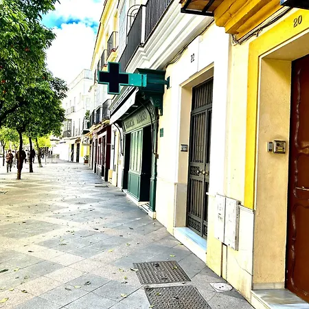 Alojanomadas Jerez Centro Jerez de la Frontera